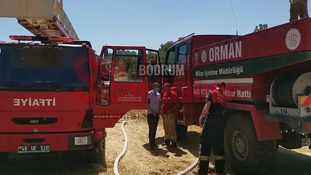 Anız yangını kontrolden çıktı