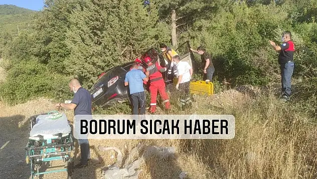 Araç hakimiyetini kaybederek ormanlık alana uçtu