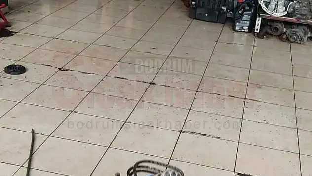 Araca Giren Yılan Ekiplerce Çıkarıldı