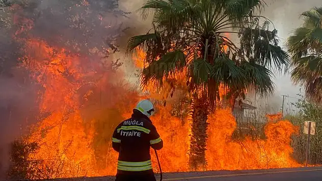 Aracını Yakan Kişi Sazlığı da Yakıyordu