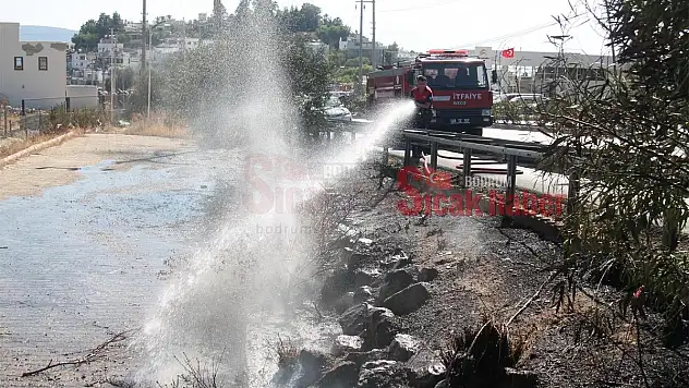 Araçtan Atılan Sigara İzmariti Yangın Çıkardı