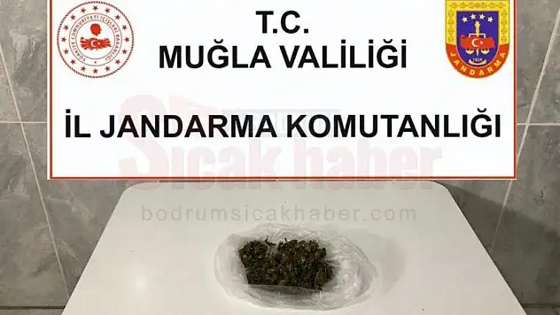 Arama Köpeği Kaptan, Şüphelinin Üzerindeki Uyuşturucuyu Yakaladı