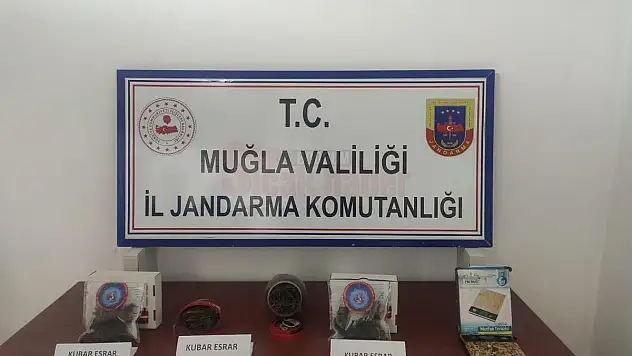 Arı Kovanında Uyuşturucu Ele Geçirildi