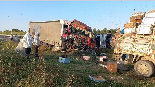 Arıcılara Tır Çarptı, Kazada 4  Kişi Öldü, 1 Kişi Yaralandı