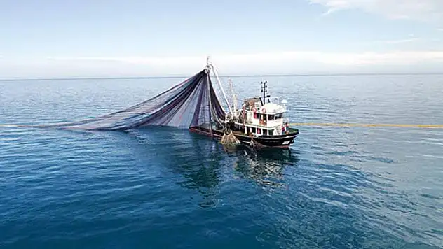 Av Yasağı Başladı