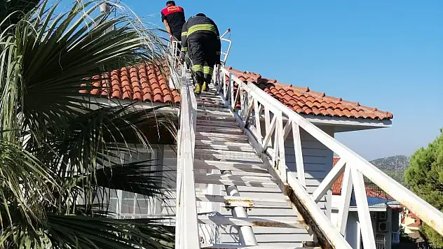 Bacada Mahsur Kalan Kediyi İtfaiye ekipleri Kurtardı.