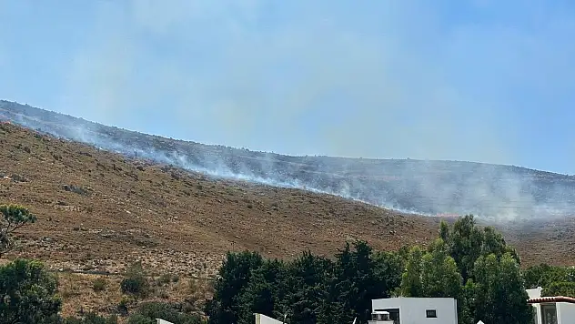 Bağla ve Kızılağaç'ta Yangın Çıktı