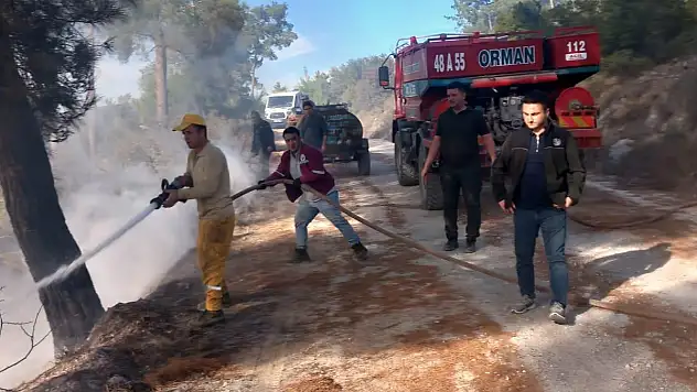 Bahçeye Dökülen Külden Yangın Çıktı
