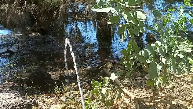 Barajlar Doldu, Sular Boşa Akıyor