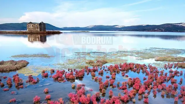 Bargilya Tuzlası Yaşayacak