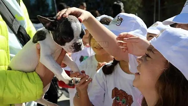 Barınağa Giderken Kendi Boyadıkları Tişörtleri Giydiler