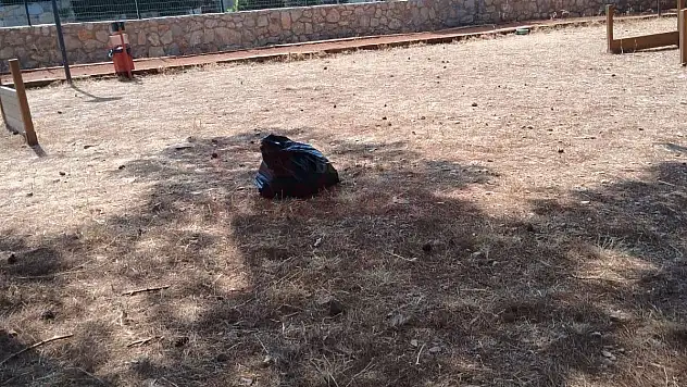 Başkan Aras'tan Videolu Yorum