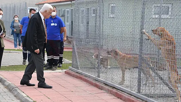 Başkan Gürün Geçici Hayvan Bakımevini Ziyaret Etti