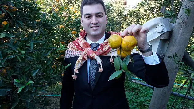 Başkan Mandalinci, Mandalina Hasadına Katıldı