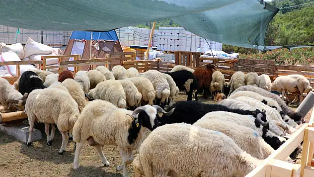 Bayram boyunca belediye ekipleri tam kadro görevde