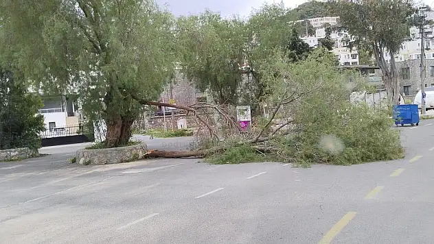 Beklenen Fırtına Etkisini Gösterdi