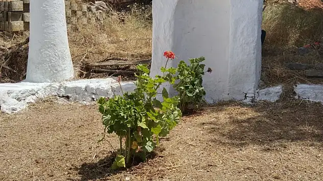 Belediye Cenaze Hizmetleri Birimi Çalışmaları