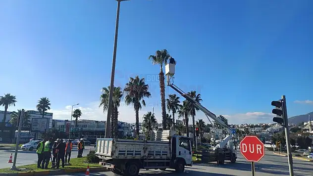 Belediye, Yeşil Alan Düzenleme Çalışmaları Yapıyor