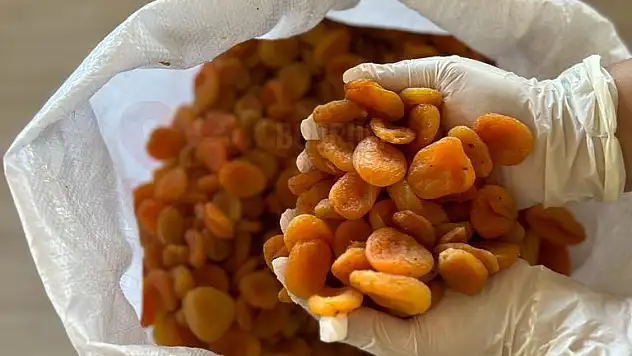 BELEDİYEDEN DEPREM MAĞDURU ÜRETİCİYE DESTEK