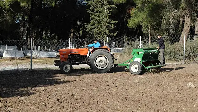 Belediyeden Karakılçık Buğday Ekimi