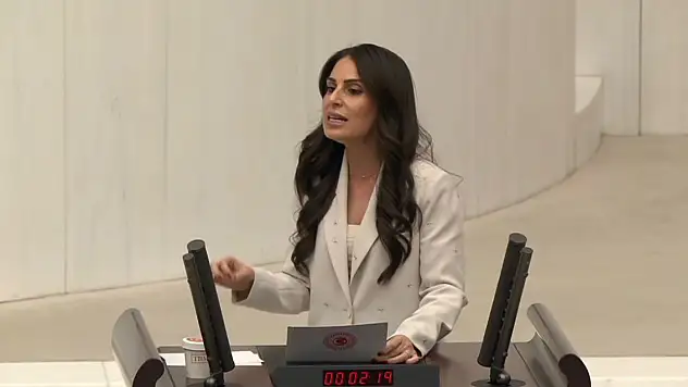 Binlerce hektarlık maden ihalesi meclis gündeminde