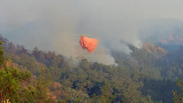 Binlerce İnsan Yüzlerce Araç 14 Uçak ve 20 Helikopterle Yangına Müdahale Sürüyor