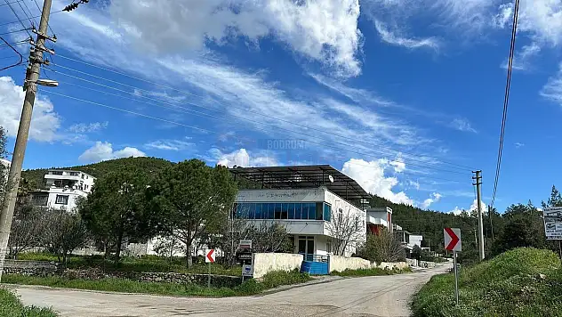 Binlerce Kişinin Yaşadığı Meşelik Ezan Sesine Hasret