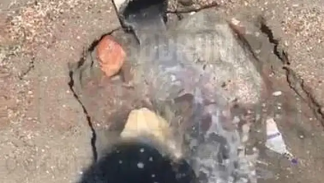  Bitez Sahili Sahipsiz mi Burayla Kim İlgilenecek