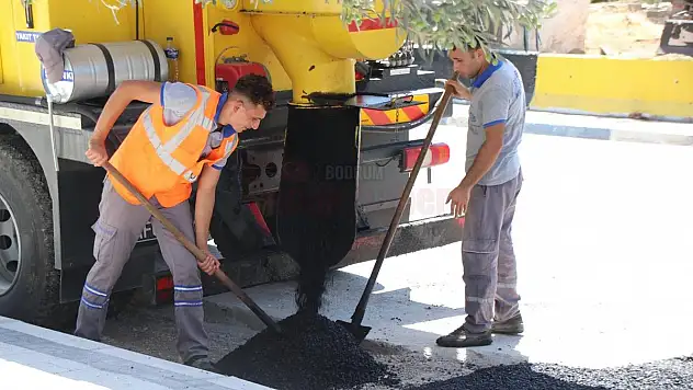 Bitez'de Çalışmalar Devam Ediyor
