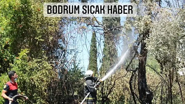Bitez'de izmarit atılmasından çıkan yangın söndürüldü