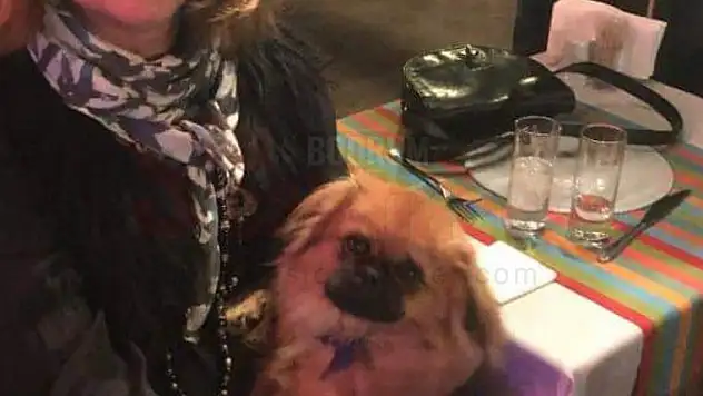 BİTEZ'İN SEVİLEN İŞLETMECİSİ HAYATINI KAYBETTİ