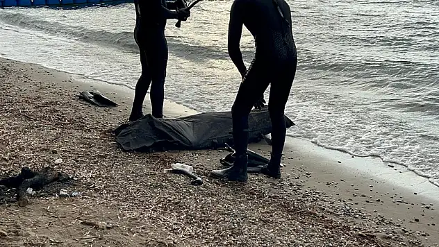 Bodrum açıklarında göçmen faciası 7 kişinin cansız bedeni bulundu
