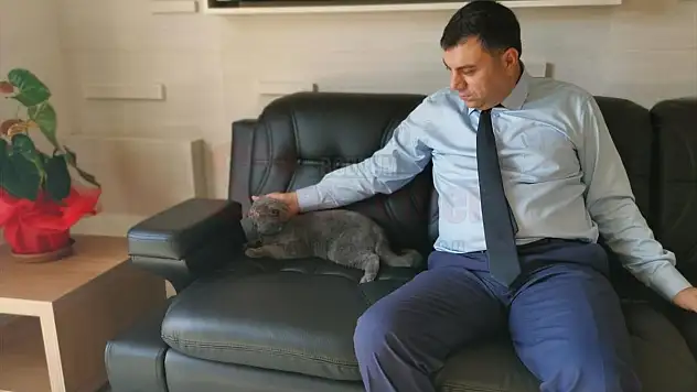 Bodrum Adliyesi sokak köpeklerini sahiplendi