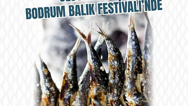 Bodrum balık festivali için geri sayım başladı