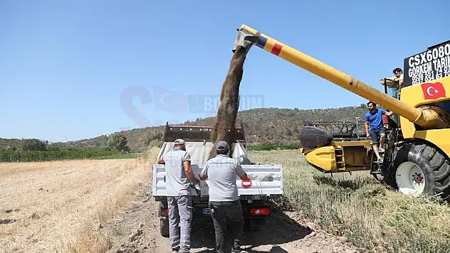 BODRUM BELEDİYESİ, AKARYAKITINI KENDİ ÜRETİYOR