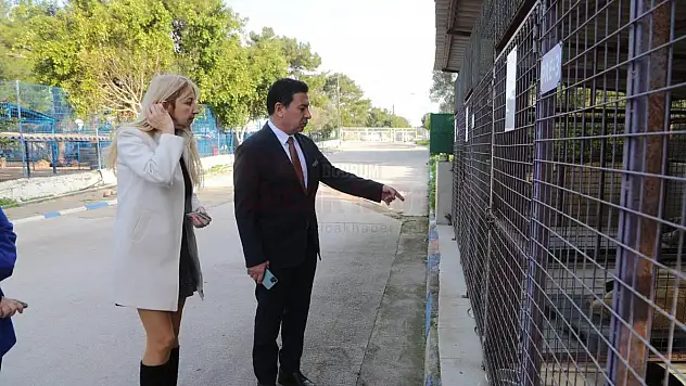 BODRUM BELEDİYESİ BARINAKLARINDA CAN DOSTLAR EMİN ELLERDE