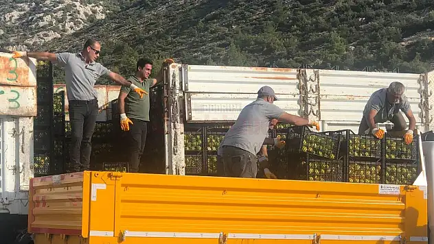 BODRUM BELEDİYESİ ÜRETİCİYE DESTEK OLMAYA DEVAM EDİYOR