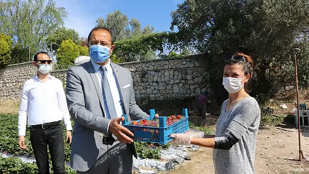 Bodrum Belediyesi üreticiye ve halka sahip çıktı