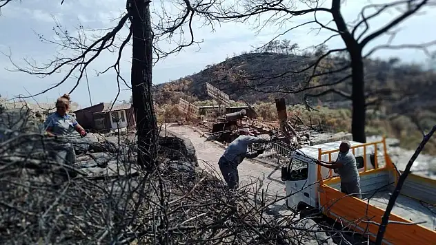 BODRUM BELEDİYESİ YANGIN SONRASI TEHLİKE OLUŞTURAN AĞAÇLARA MÜDAHALE ETTİ