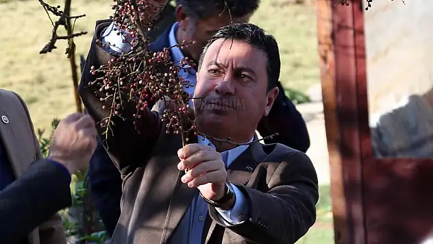 Bodrum Belediyesinden Dron ile İlaçlama Dönemi Başlıyor