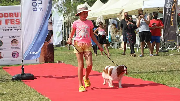 Bodrum Can Dostları İçin Festival Düzenledi: 'Pati Fest'