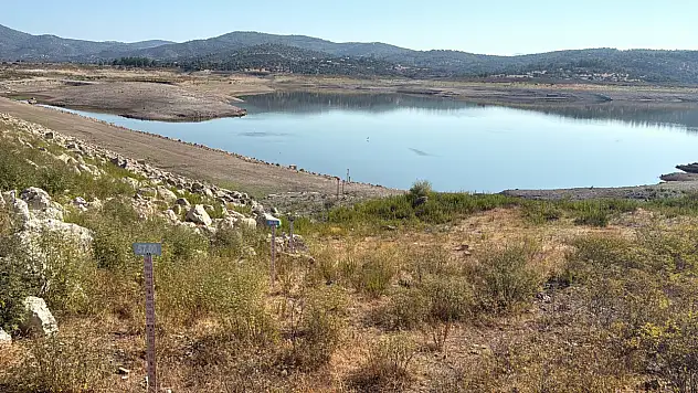 Bodrum'da musluklar kurudu ! baraj suyu tarlalara aktı !
