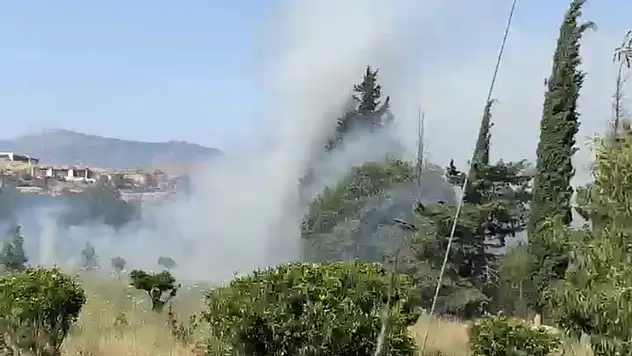 Bodrum'da Yangın Alarmı! Alevler Peş Peşe Yükseldi!