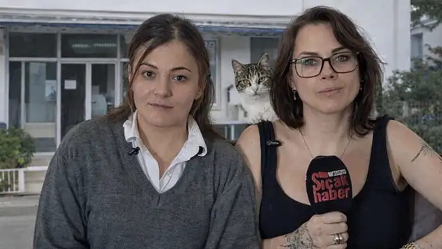 Bodrum'daki bir hayvan hastanesine yönelik iddialar gündeme oturdu