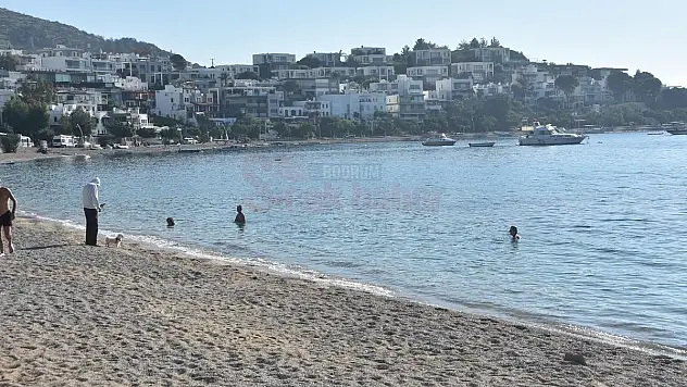 Bodrum'da Denize Girip Güneşlendiler