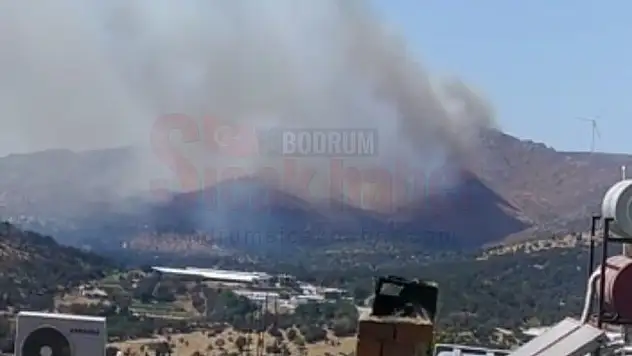 Bodrum Dereköy'de Makilik Alanda Yangın Başladı