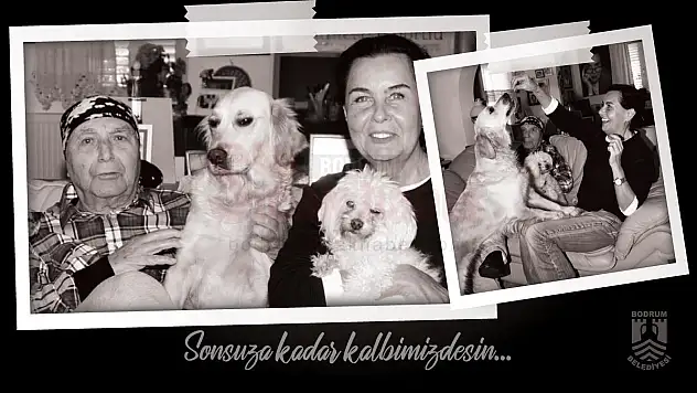 BODRUM, FATMA GİRİK'E VEDAYA HAZIRLANIYOR