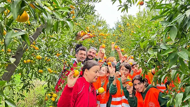 Bodrum Gençlik Merkezi Bodrum Mandalina Şenliğinde