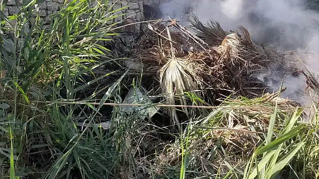 Bodrum Göltürkbükü Mahallesi'nde Yol Kenarında Yangın Paniği