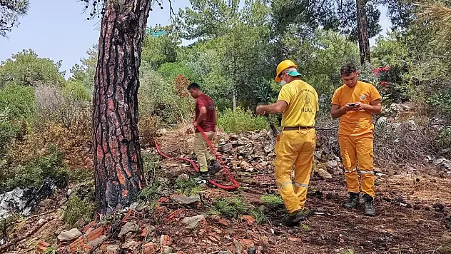 Bodrum Güvercinlik Bölgesinde Orman Yangını Çıktı